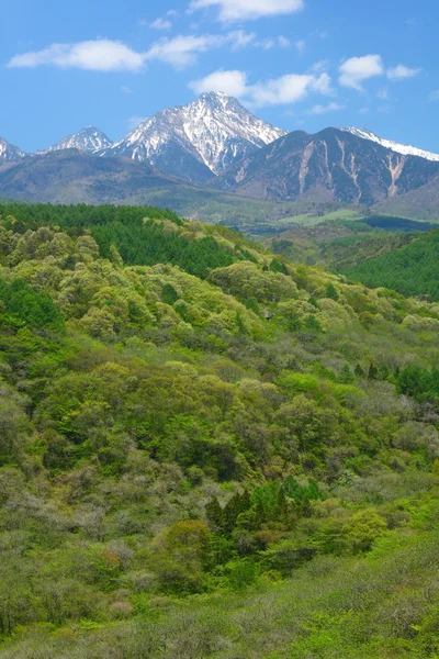 Norikura Гористій місцевості на свіжий зелений — стокове фото