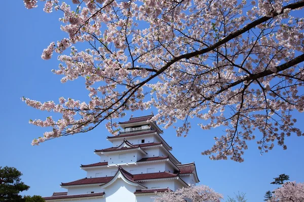 Castillo de Aizuwakamatsu y flor de cerezo — Foto de Stock