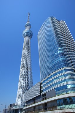 ağaç gökyüzü Tokyo, Japonya