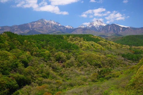 Mt. Yatsugatake, friss zöld — Stock Fotó