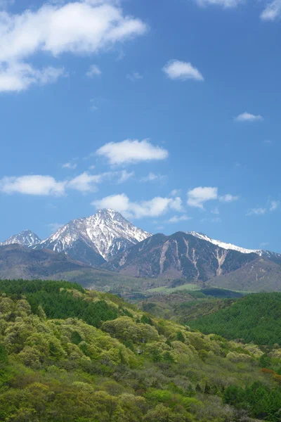 Mt. Yatsugatake de verde fresco — Fotografia de Stock