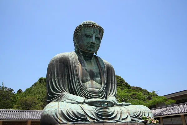 Grote boeddha van kamakura — Stockfoto