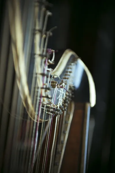 Harfa detal — Zdjęcie stockowe