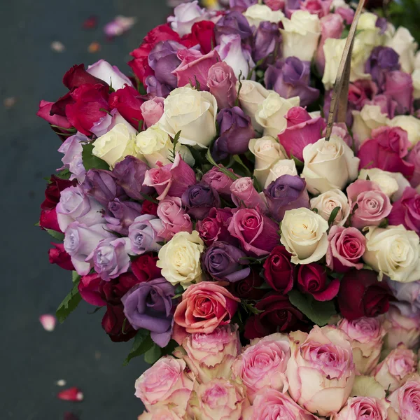 Roses in flower market, Paris — Stock Photo, Image