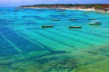 Nusa lembongan seaweed farming clipart