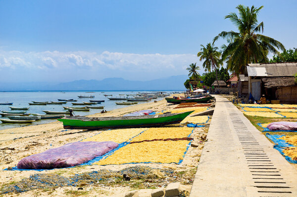 Лембонган, Нуса
