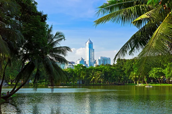 Lumphini-Park in bangkok lizenzfreie Stockfotos