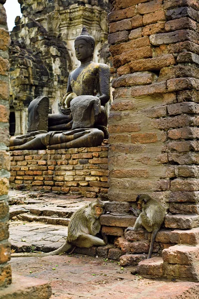 Lopburi ruiny v Thajsku — Stock fotografie