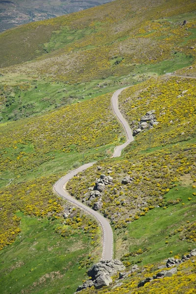 Kleine Landstraße bei Gredos Berge — Stockfoto