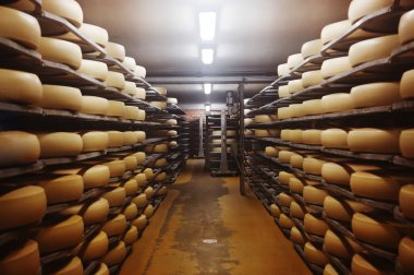 Fotoğraf bir peynir fabrikası
