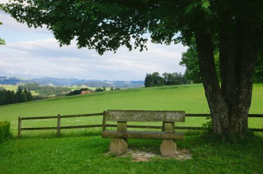 Green park with a bench clipart