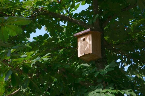 Σπίτι πουλιών σε ένα δέντρο — Φωτογραφία Αρχείου