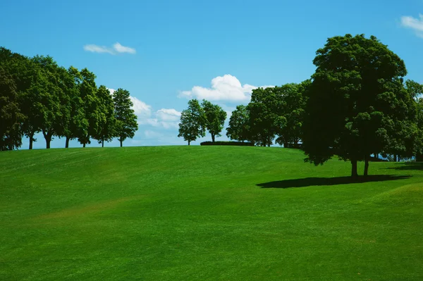 Zelené trávy na hřišti golf — Stock fotografie