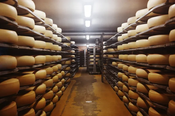 チーズ工場の写真 — ストック写真