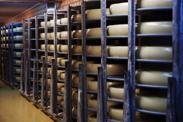 チーズ工場の写真 — ストック写真