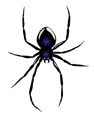 Vector. Spider clipart