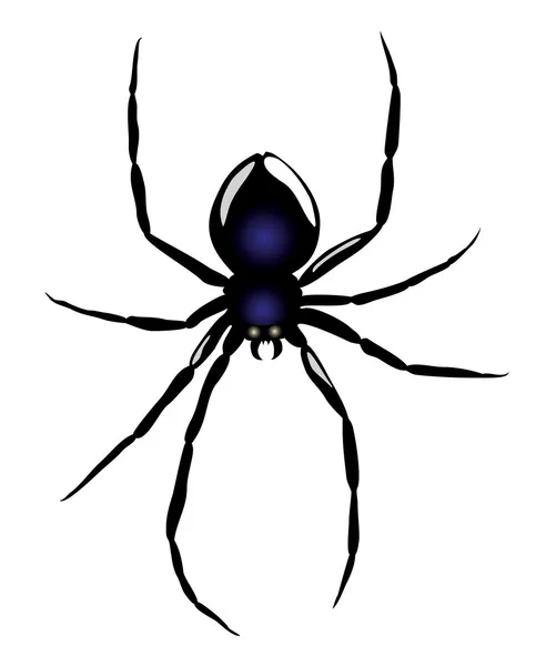 Vektor. pavouk — Stockový vektor