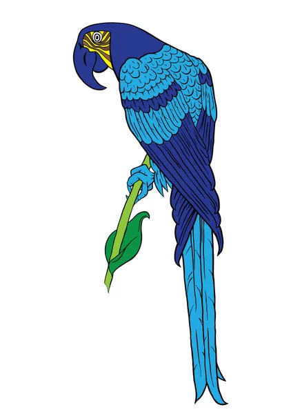 Niebieski papuga — Wektor stockowy