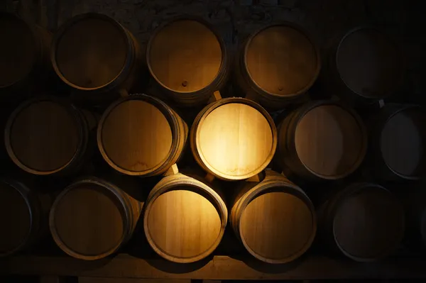 Barris de vinho em uma adega — Fotografia de Stock