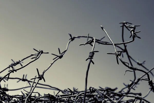 stock image Barbed wire