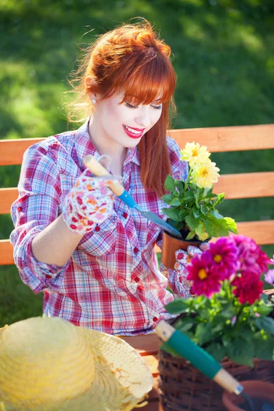 Gardening concept, potting flowers — Stock Photo, Image