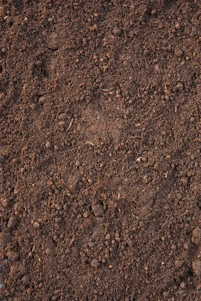 Soil background — Stock Photo, Image