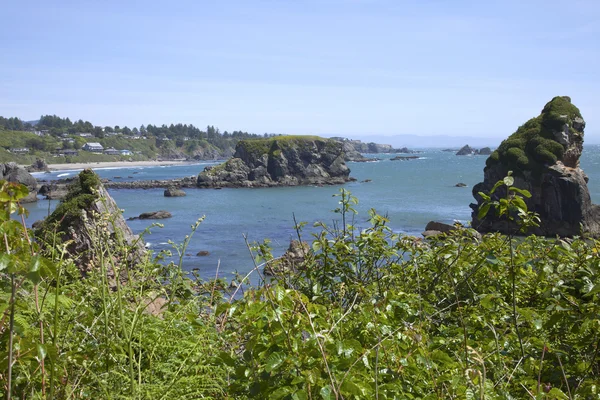 Oregon sahil şeridi ve Pasifik okyanus görmek. — Stok fotoğraf