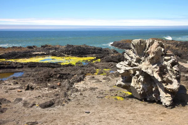 Cape Perpetua, costa de Oregon . — Fotografia de Stock
