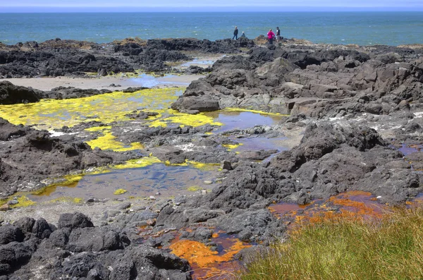 Lava letti alghe e oceano, costa dell'Oregon . — Foto Stock