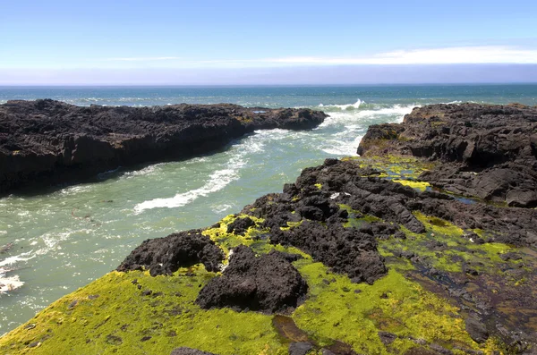 Lava rotsachtige kustlijn, de kust van oregon. — Stockfoto