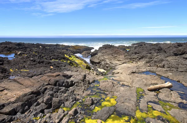 岩の溶岩の海岸線、オレゴン州の海岸. ストック画像