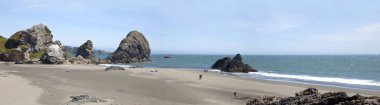 Oregon coastline panorama near Coos Bay. clipart