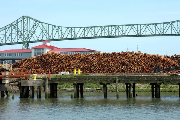 Klassificeret tømmer til eksport i Astoria OR . - Stock-foto