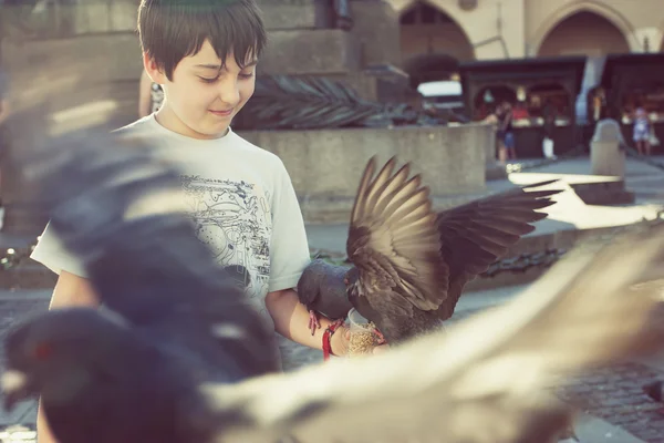 Boy feeding pigeons — Stock Photo, Image