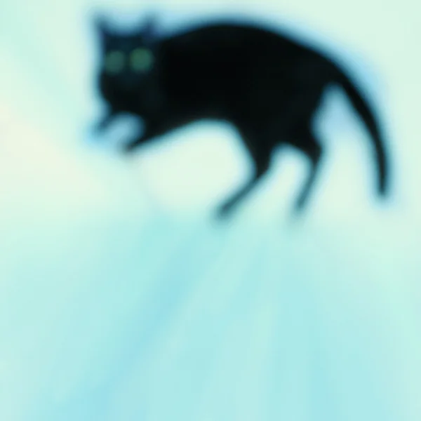 stock image Defocused black cat