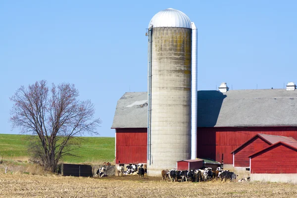 Американская ферма — стоковое фото