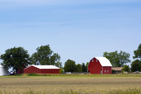 美国农场 — 图库照片