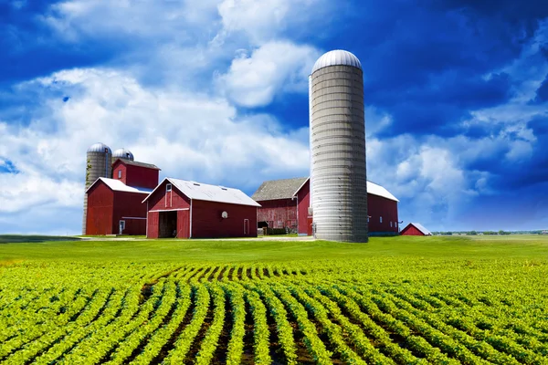 Amerykańska farma — Zdjęcie stockowe