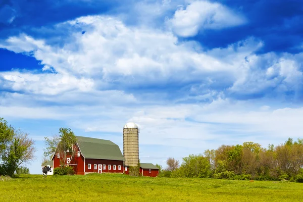 Amerikan çiftlik — Stok fotoğraf