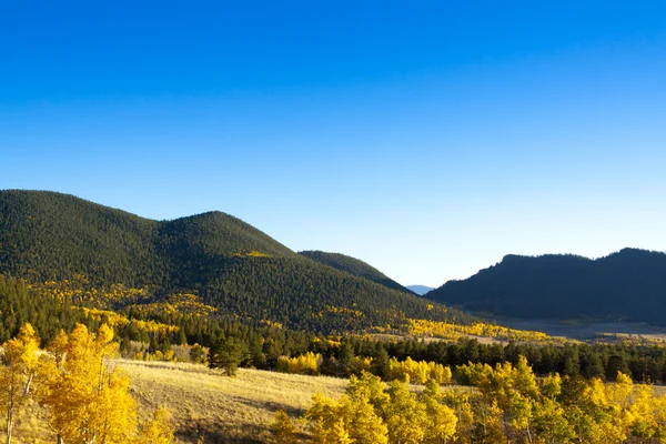 Jesień krajobraz w colorado — Zdjęcie stockowe