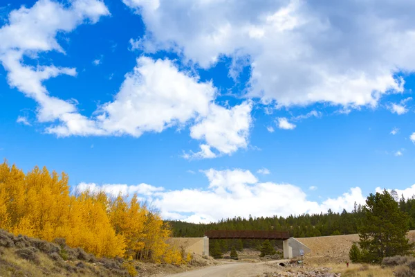 在科罗拉多州的秋景 — 图库照片