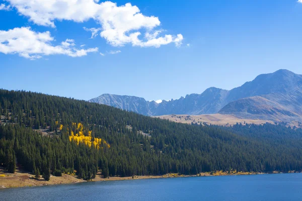 Осенний пейзаж Колорадо — стоковое фото