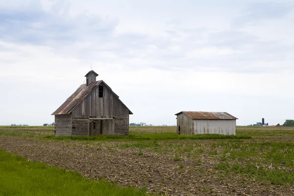 Старая ферма — стоковое фото