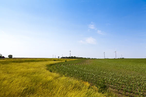 Amerikansk lantlig vindkraftspark — Stockfoto