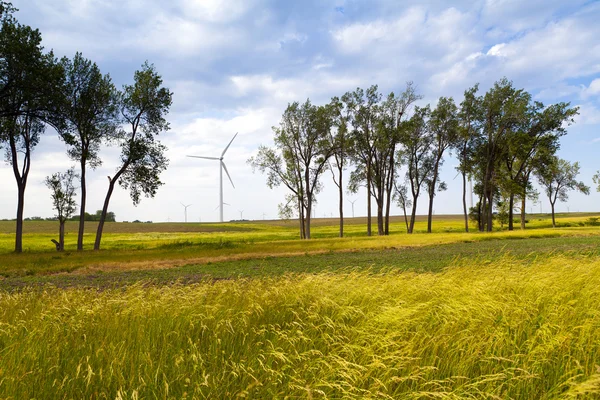 Amerykańska wiejska farma wiatrowa — Zdjęcie stockowe