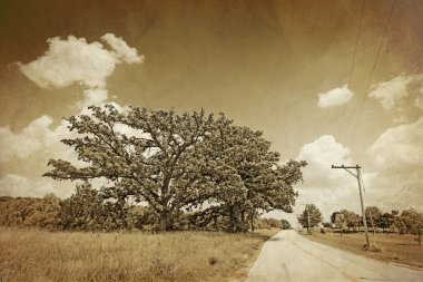 Amerikan country road - vintage design