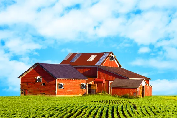 Americký venkov mléčné farmy — Stock fotografie