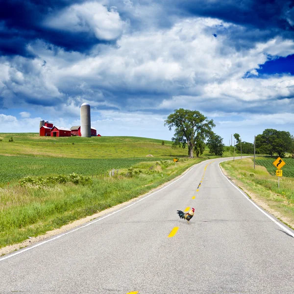 Amerikanska country road — Stockfoto