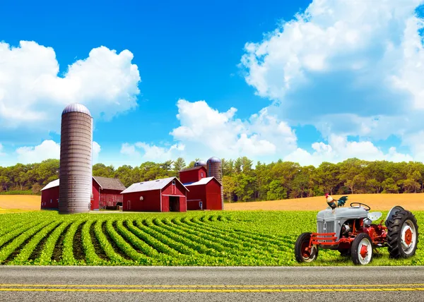 Land boerderij landschap met trekker — Stockfoto
