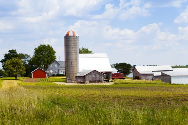 American Farm — Stock Photo, Image